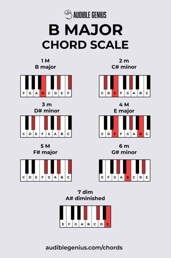 B Major Chord Scale, Chords in The Key of B Major